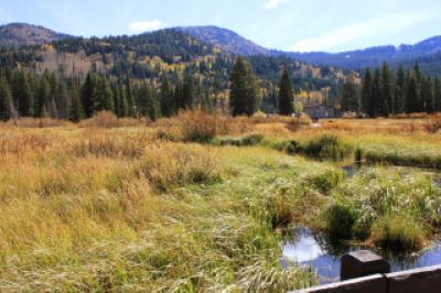 Silver Lake Utah Boardwalk
