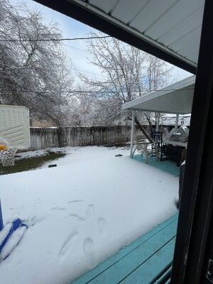 Utah Snowfall February 2025