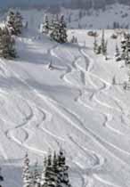 Utah Skiing