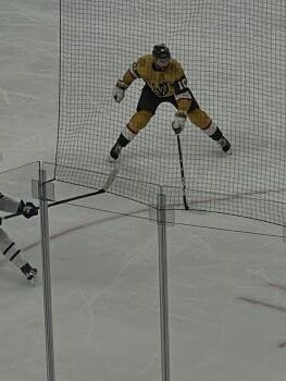 Vegas Golden Knights Player