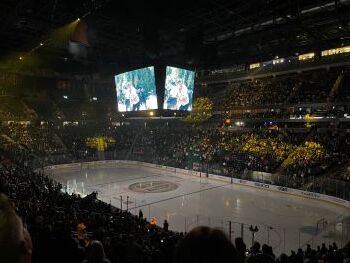 Vegas Knights Hockey
