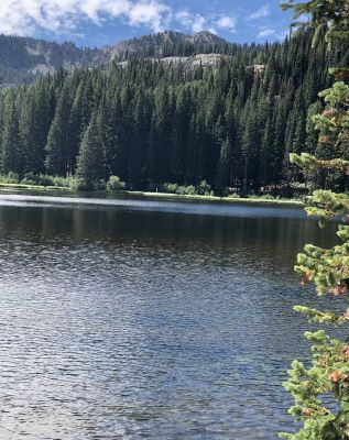 View of Silver Lake a tBrighton