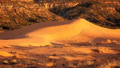 Warm Light At Coral Pink Sand Dunes