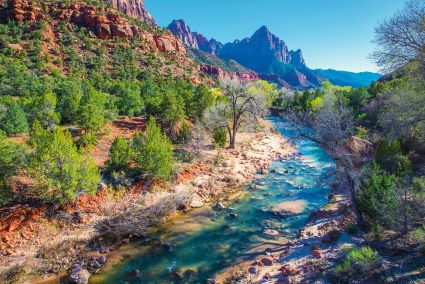 Zion National Park in Spring